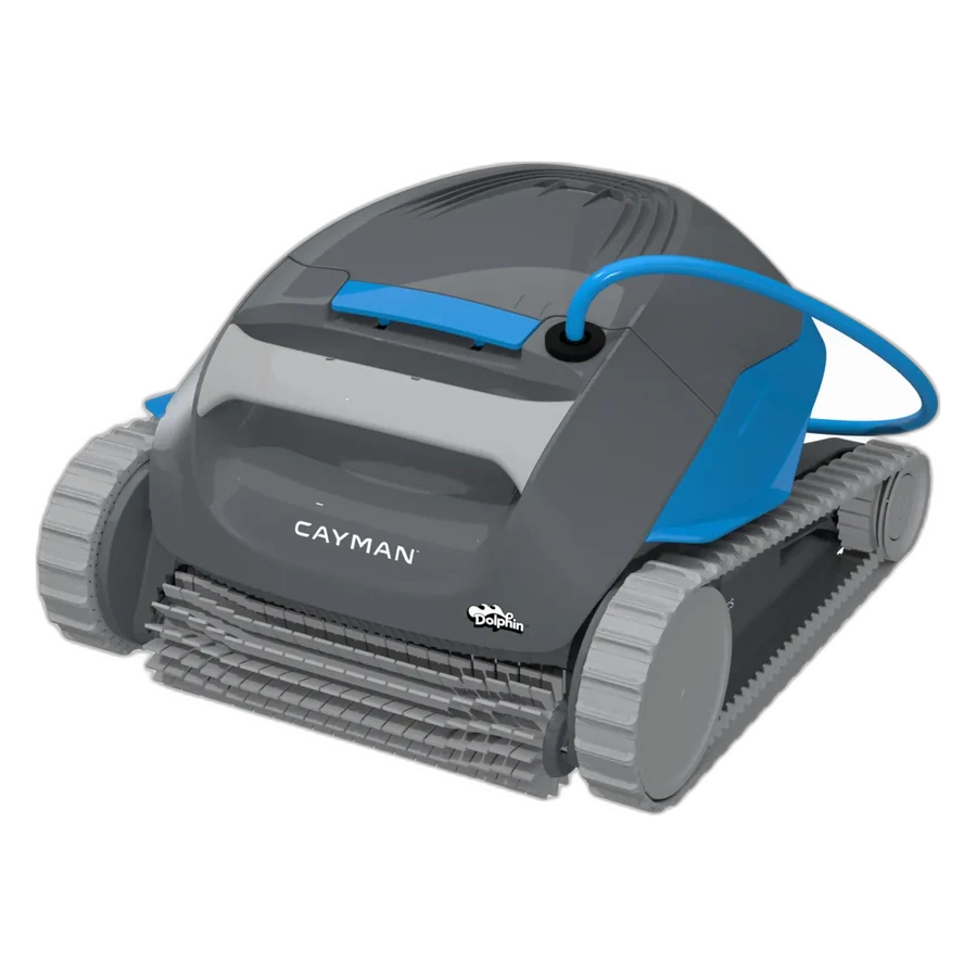 Dolphin Cayman