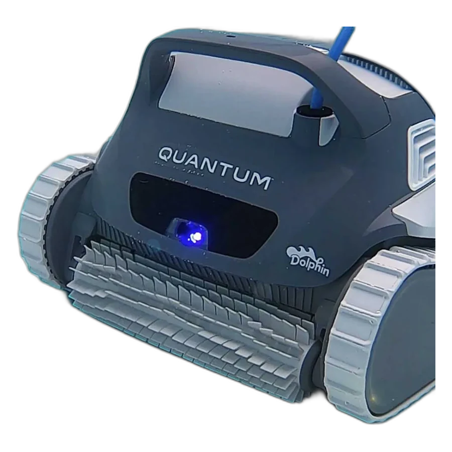 Dolphin Quantum, photo 2