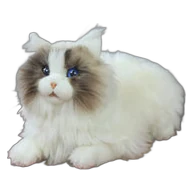 metaCat, photo 2