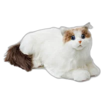 metaCat, photo 3