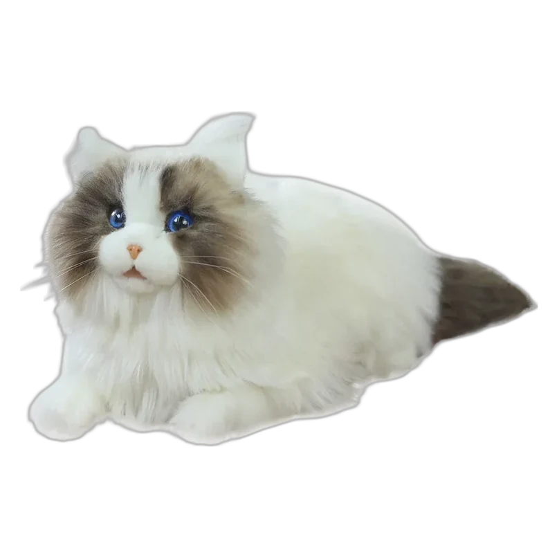 metaCat